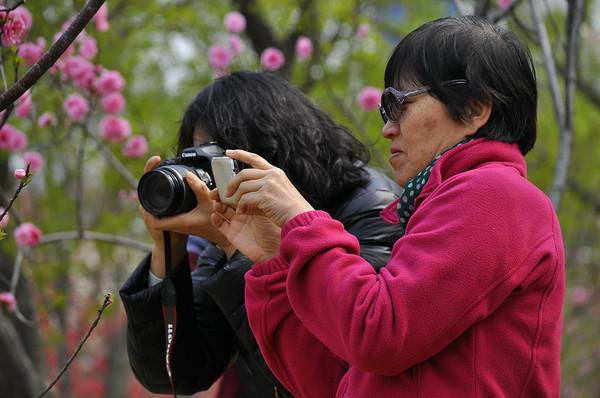 海盐拍客团 头像